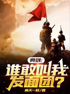 亮剑重生孔捷正版