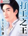 打工之王电视剧免费观看