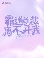 霸道总裁离不开我 盛二木