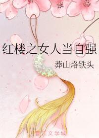 综穿红楼女人