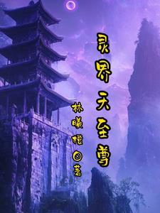 天界至尊系统