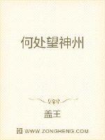 满眼风光北固楼表达了什么情感