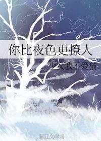 夜色很撩人说说