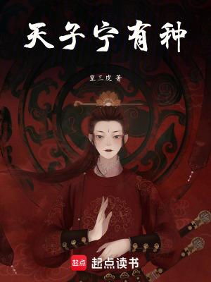 天子啥意思