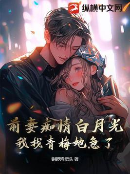 前妻追前夫的