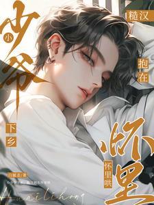 关于京城少爷的