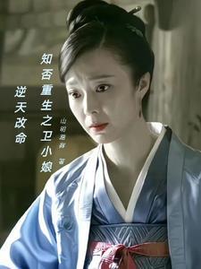 重生之我是知否卫小娘