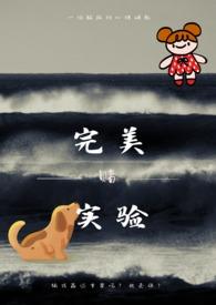 完美实验室