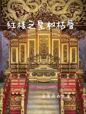 红楼之权倾天下起点