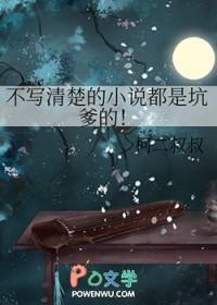 不写了