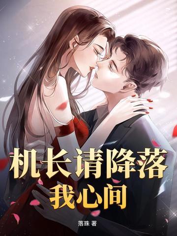 机长请降落在哪可以看