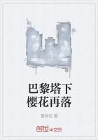巴黎的塔叫什么名字?
