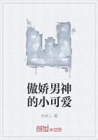 傲娇男神宠入怀