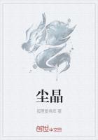 尘晶石和碧玺哪个贵