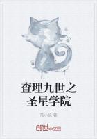 查理九世之圣宸羽翼会