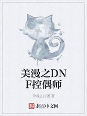 dnf100版本控偶师