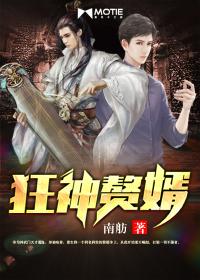 狂神赘婿叶鹏