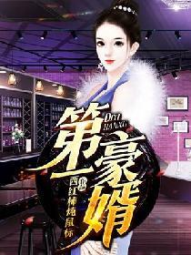 第一豪婿共多少章节
