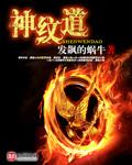 神纹道叶维最后什么境界
