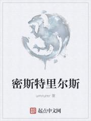 密斯特岗不回来了吗