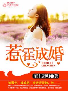 惹霍成婚